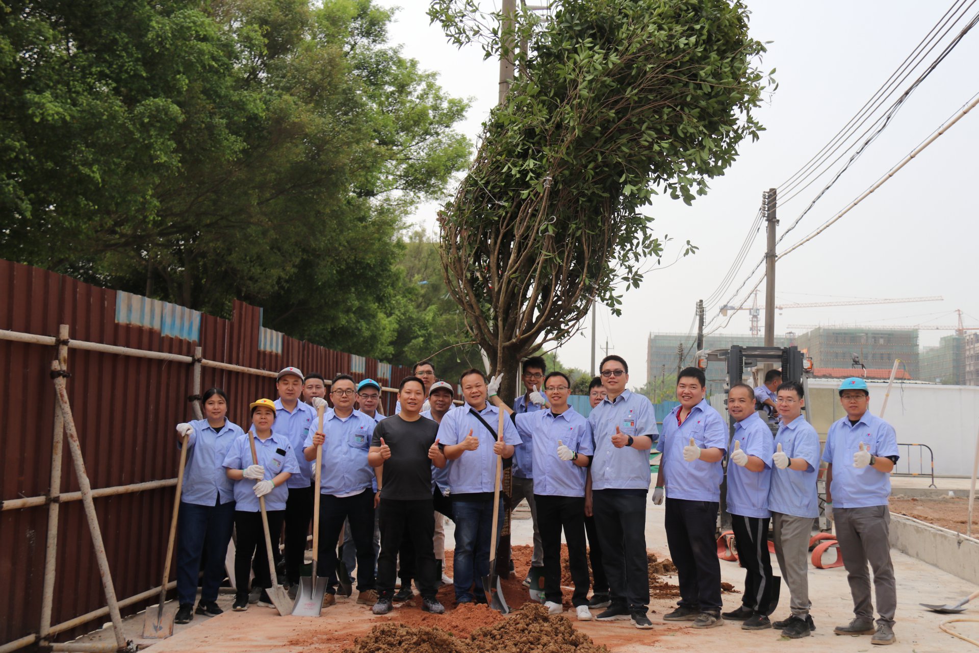 植樹節(jié)活動(dòng)